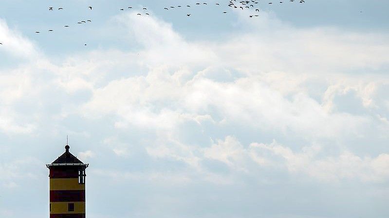 Gänse fliegen über den Pilsumer Leuchtturm. Foto: Sina Schuldt/dpa