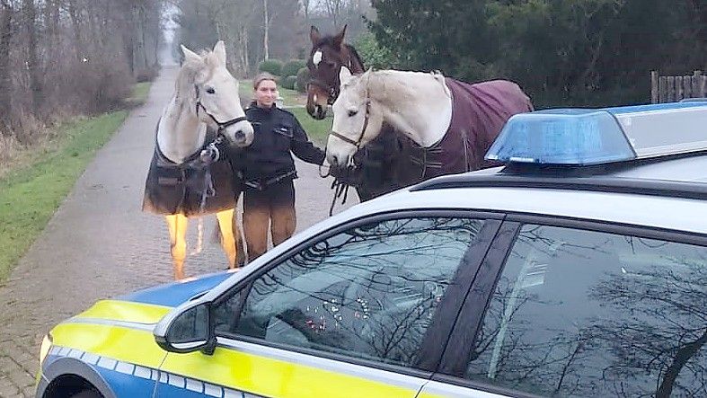 Polizistin Theelke Eilers hält die drei Ausreißer an den Halftern. Die Pferde blicken neugierig in die Kamera und scheinen ihren Ausflug genossen zu haben. Foto: Polizei