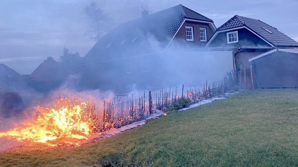 Die Hecke auf dem Grundstück am Kanalweg in Moordorf brannte komplett ab. Foto: Holger Janssen