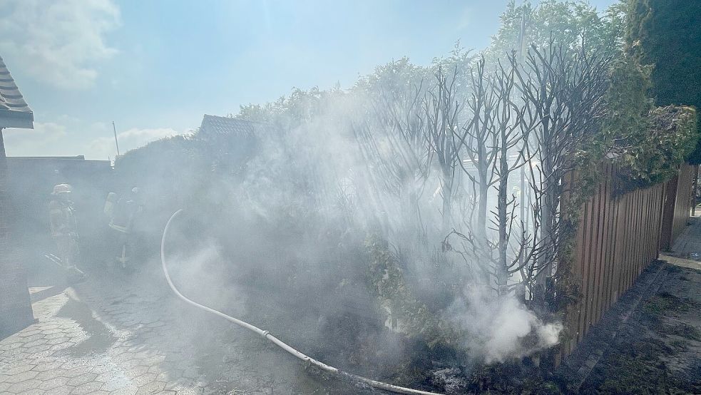 Auf etwa 15 Metern brannte eine Thuja-Hecke im Emder Stadtteil Port Arthur/Transvaal. Fotos: Feuerwehr Emden