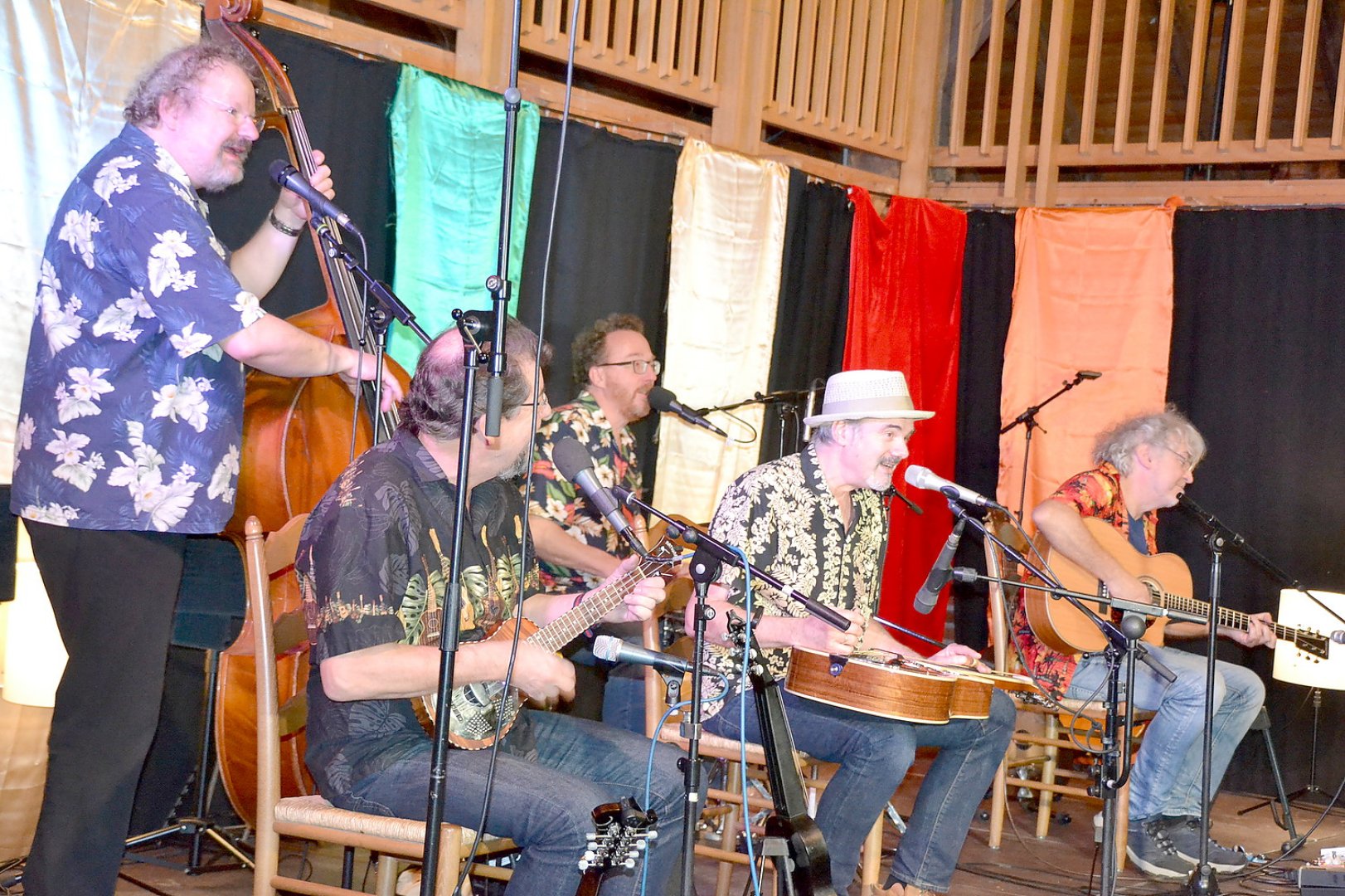 Folkfestival im Gulfhof in Engerhafe - Bild 1