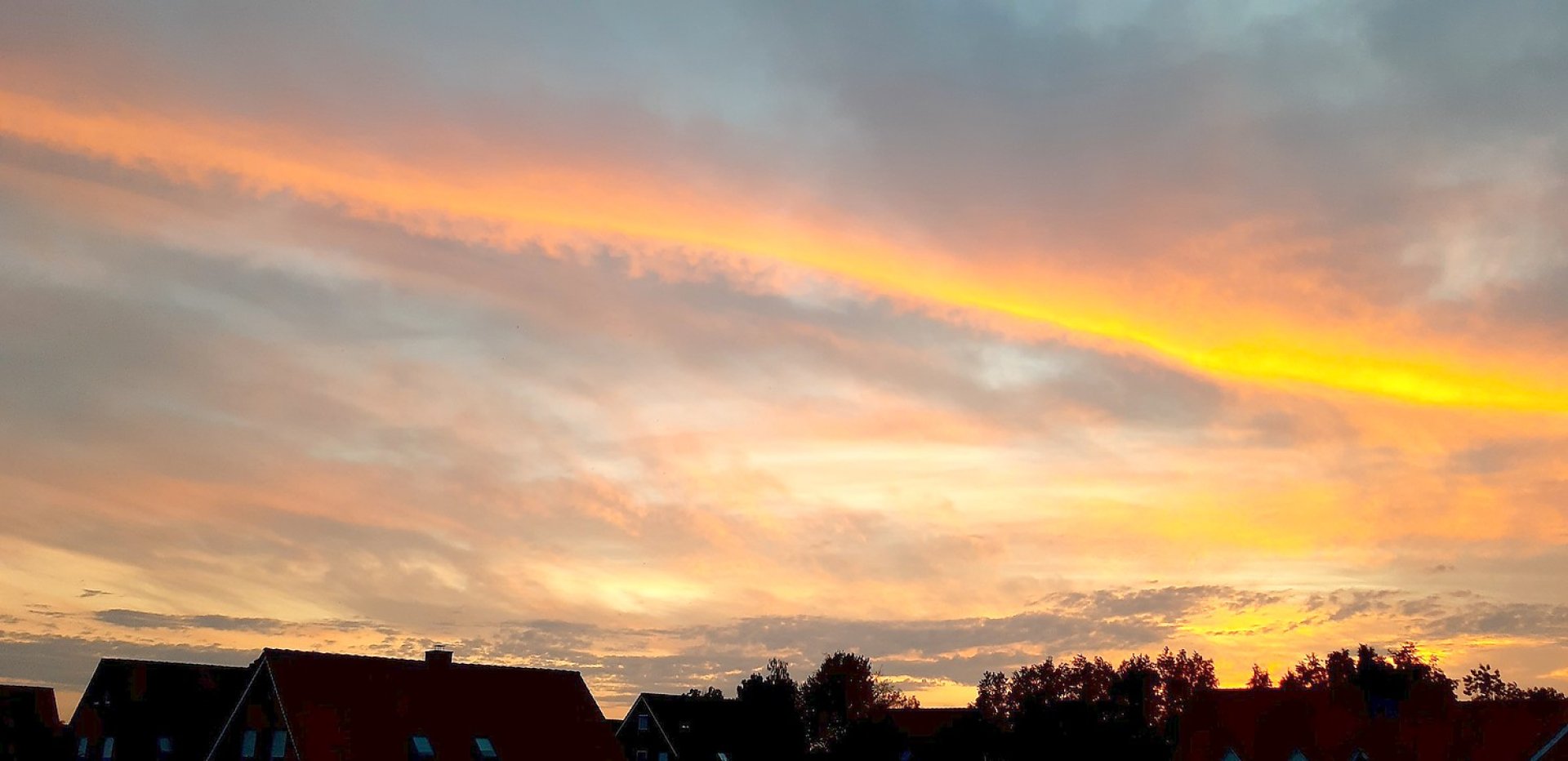 Leserfoto des Monats Mai 2020 - Bild 1