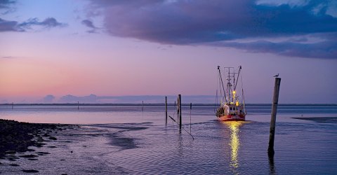 ON-Leserfoto des Monats Juni 2020 - Bild 3