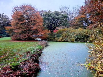 ON-Leserfoto des Monats Oktober 2020 - Bild 2