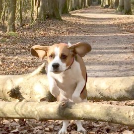 ON-Leserfoto des Monats Oktober 2020 - Bild 3