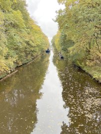 ON-Leserfoto des Monats Oktober 2020 - Bild 4