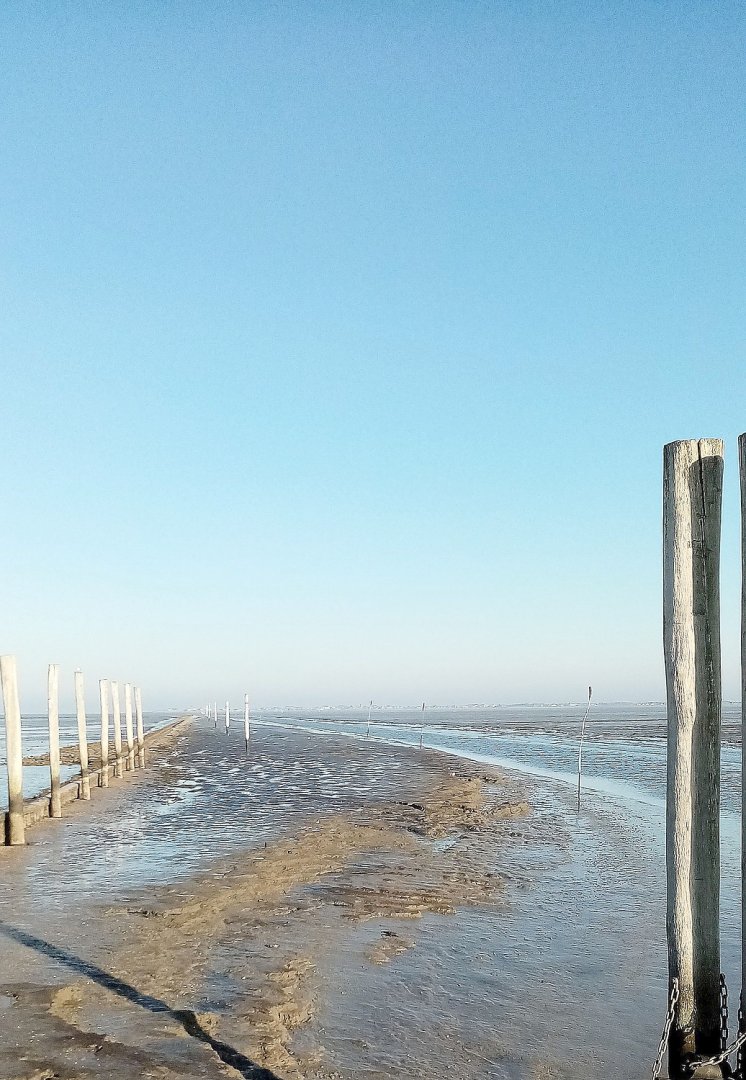 ON-Leserfoto des Monats November 2020 - Bild 1