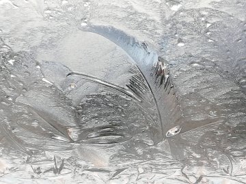 ON-Leserfoto des Monats Januar 2021 - Bild 3