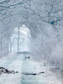 ON-Leserfoto des Monats Januar 2021 - Bild 4