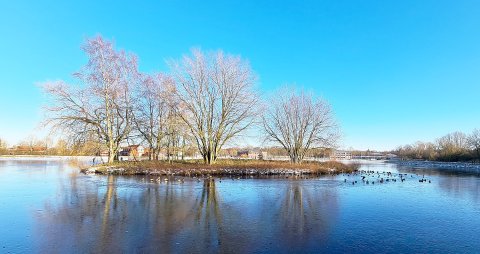 ON-Leserfoto des Monats Februar 2021 - Bild 3