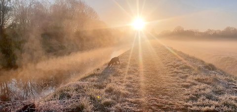 ON-Leserfoto des Monats April 2021 - Bild 2