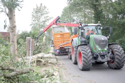 Aufräumen nach Tornado in Großheide - Bild 2