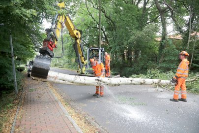 Aufräumen nach Tornado in Großheide - Bild 3