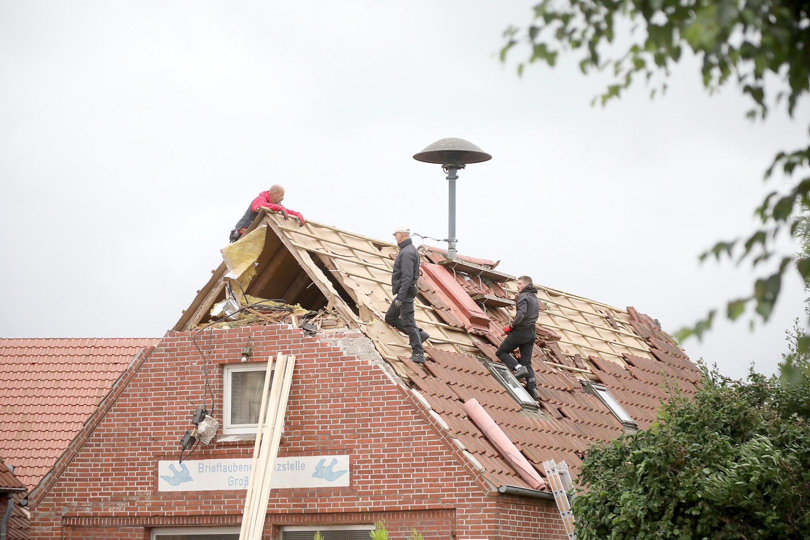 Aufräumen nach Tornado in Großheide - Bild 7