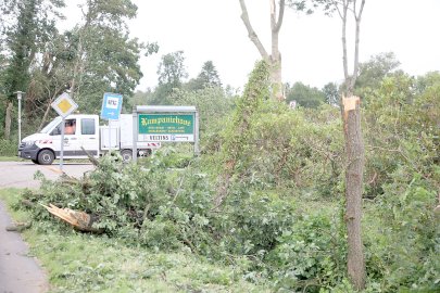 Aufräumen nach Tornado in Großheide - Bild 9
