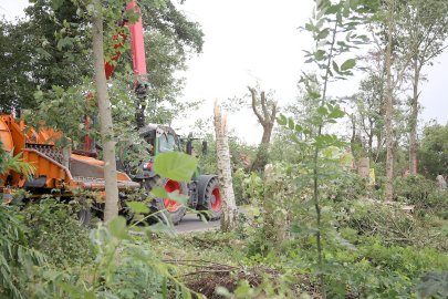 Aufräumen nach Tornado in Großheide - Bild 15