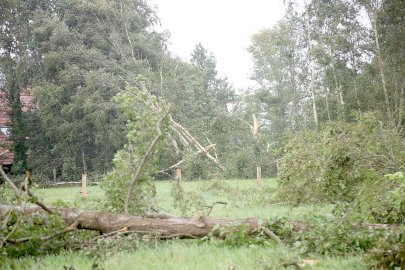 Aufräumen nach Tornado in Großheide - Bild 17