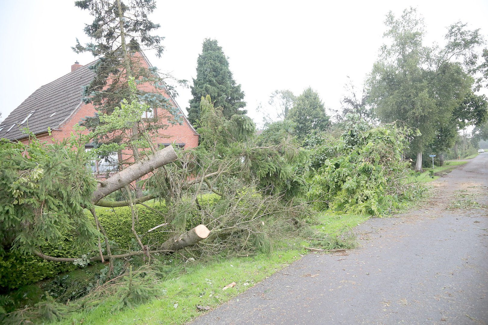 Aufräumen nach Tornado in Großheide - Bild 18