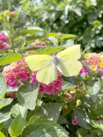 ON-Leserfoto des Monats September 2021 - Bild 4