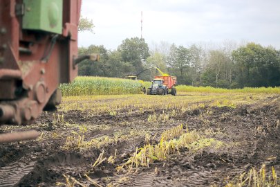 ON-Leserfoto des Monats Oktober 2021 - Bild 2