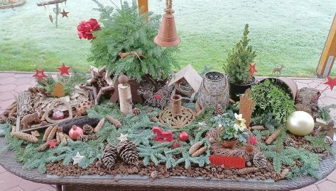 ON-Leserfoto des Monats November 2021 - Bild 3