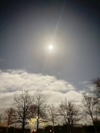 ON-Leserfoto des Monats Januar 2022 - Bild 3