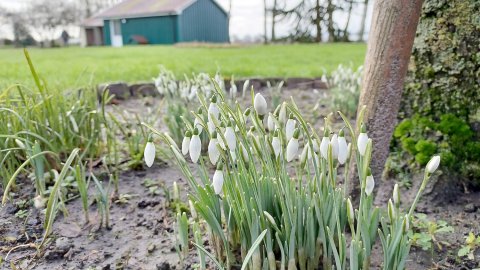 ON-Leserfoto des Monats Januar 2022 - Bild 4
