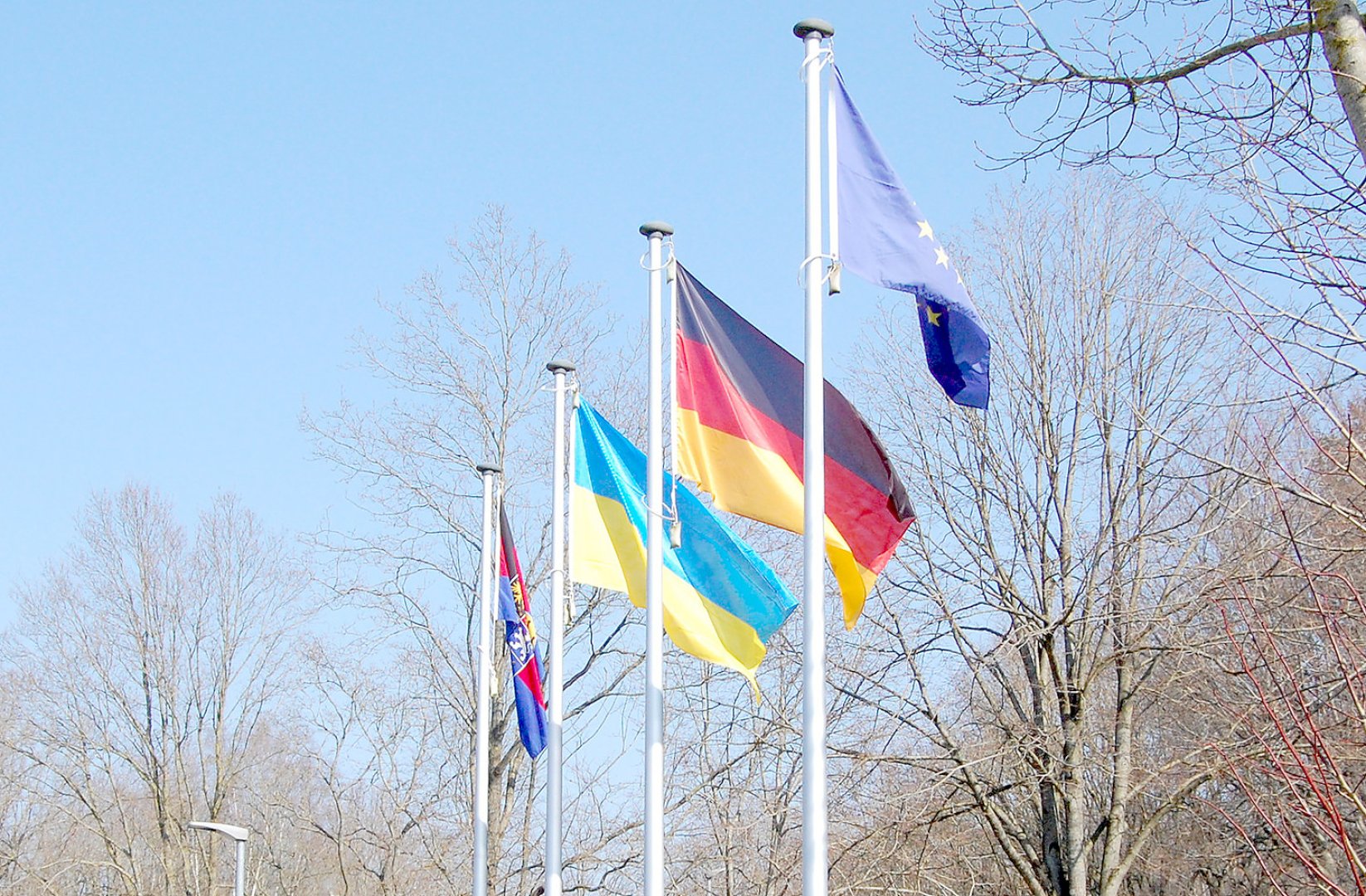 Solidarität mit der Ukraine - Bild 1