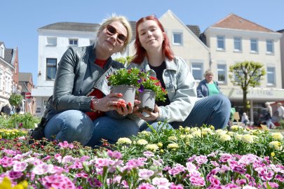 Zwischen bunten Blumen - Bild 2