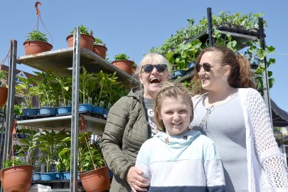 Zwischen bunten Blumen - Bild 3