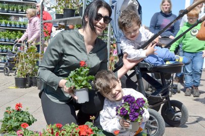 Zwischen bunten Blumen - Bild 4