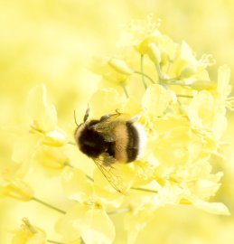 ON_Leserfoto des Monats Mai 2022 - Bild 2