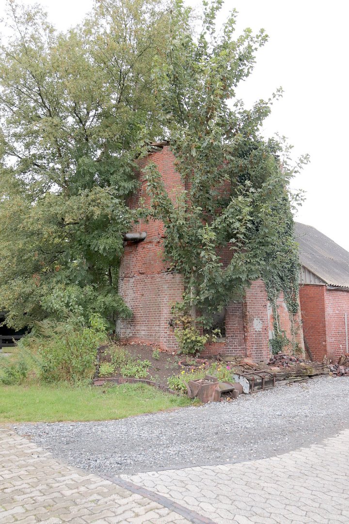 Brookmerland und seine Mühlen - Bild 14