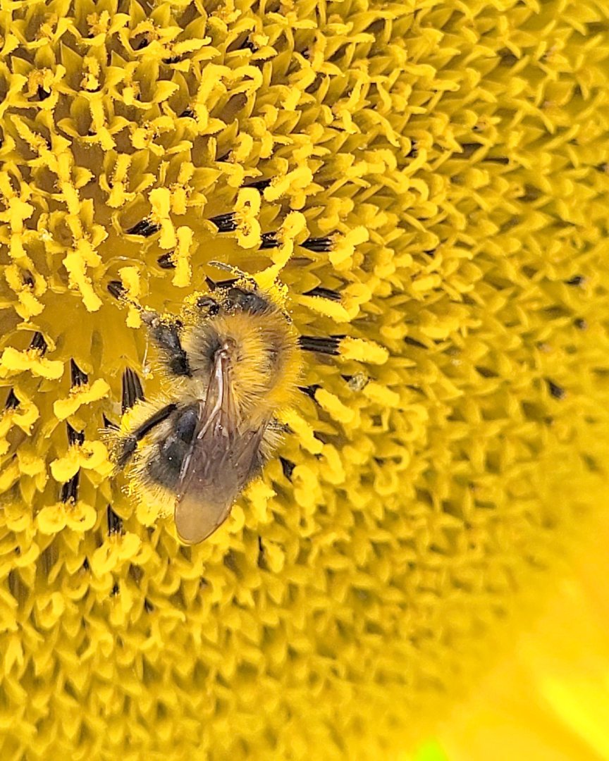 ON-Leserfoto des Monats September 2022 - Bild 1