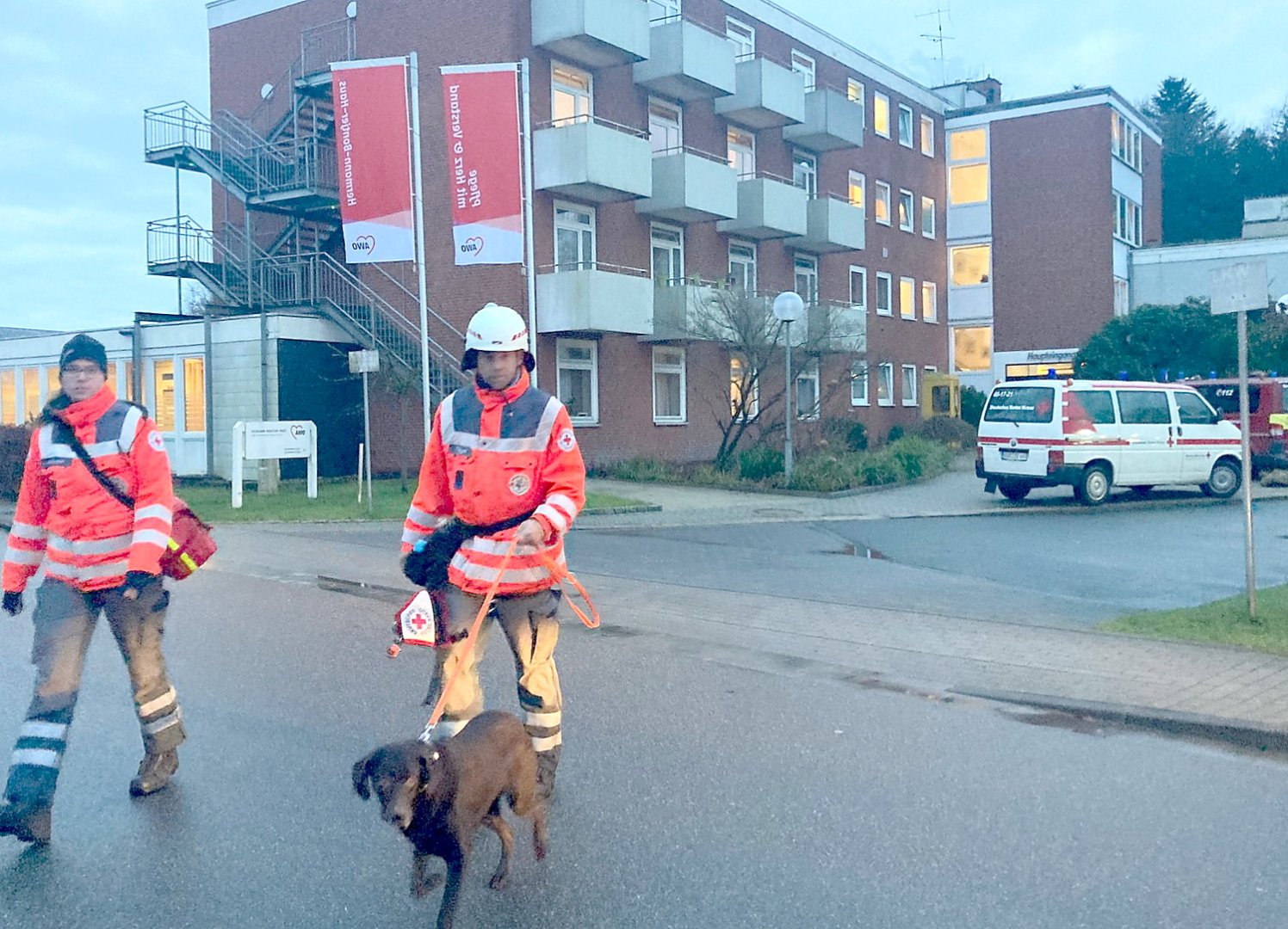 DRK-Suchhundstaffel trainiert zweimal pro Woche - Bild 1