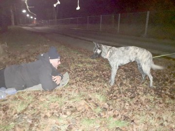DRK-Suchhundstaffel trainiert zweimal pro Woche - Bild 3