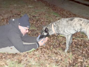 DRK-Suchhundstaffel trainiert zweimal pro Woche - Bild 4