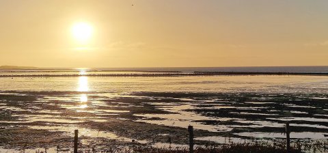 ON_Leserfoto des Monats Januar 2023 - Bild 2
