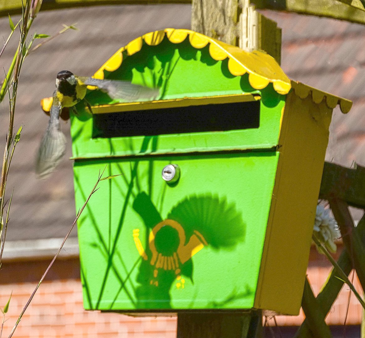 ON-Leserfoto des Monats April 2023 - Bild 1