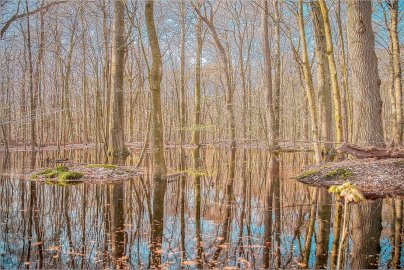 ON-Leserfoto des Monats April 2023 - Bild 4