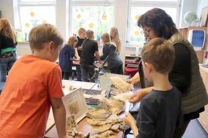 Plattdeutsch auf dem Teebeutel - Bild 14