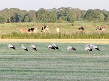 ON-Leserfotos des Monats Juni 2023 - Bild 4