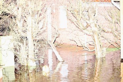 Hasenweg am Großen Meer erneut unter Wasser - Bild 2