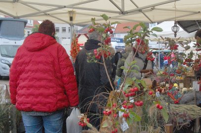 Auricher Heidemarkt in den Regenpausen gut besucht - Bild 14