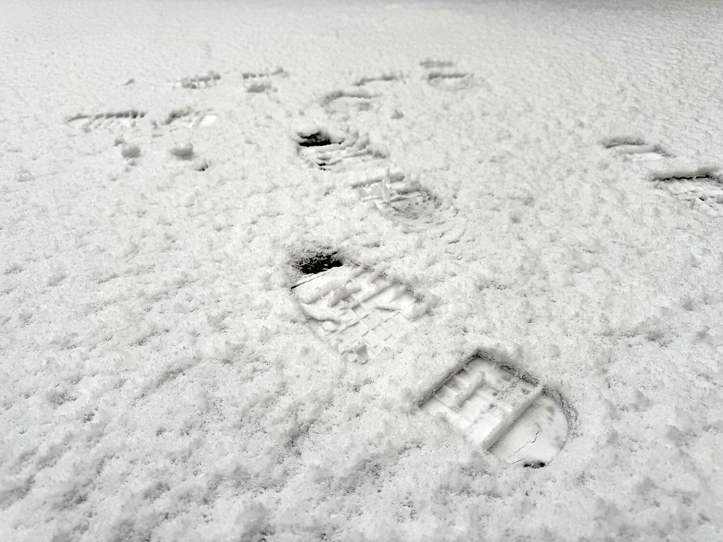 Schnee in Ostfriesland - Bild 7