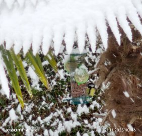 Schnee in Ostfriesland - Bild 16