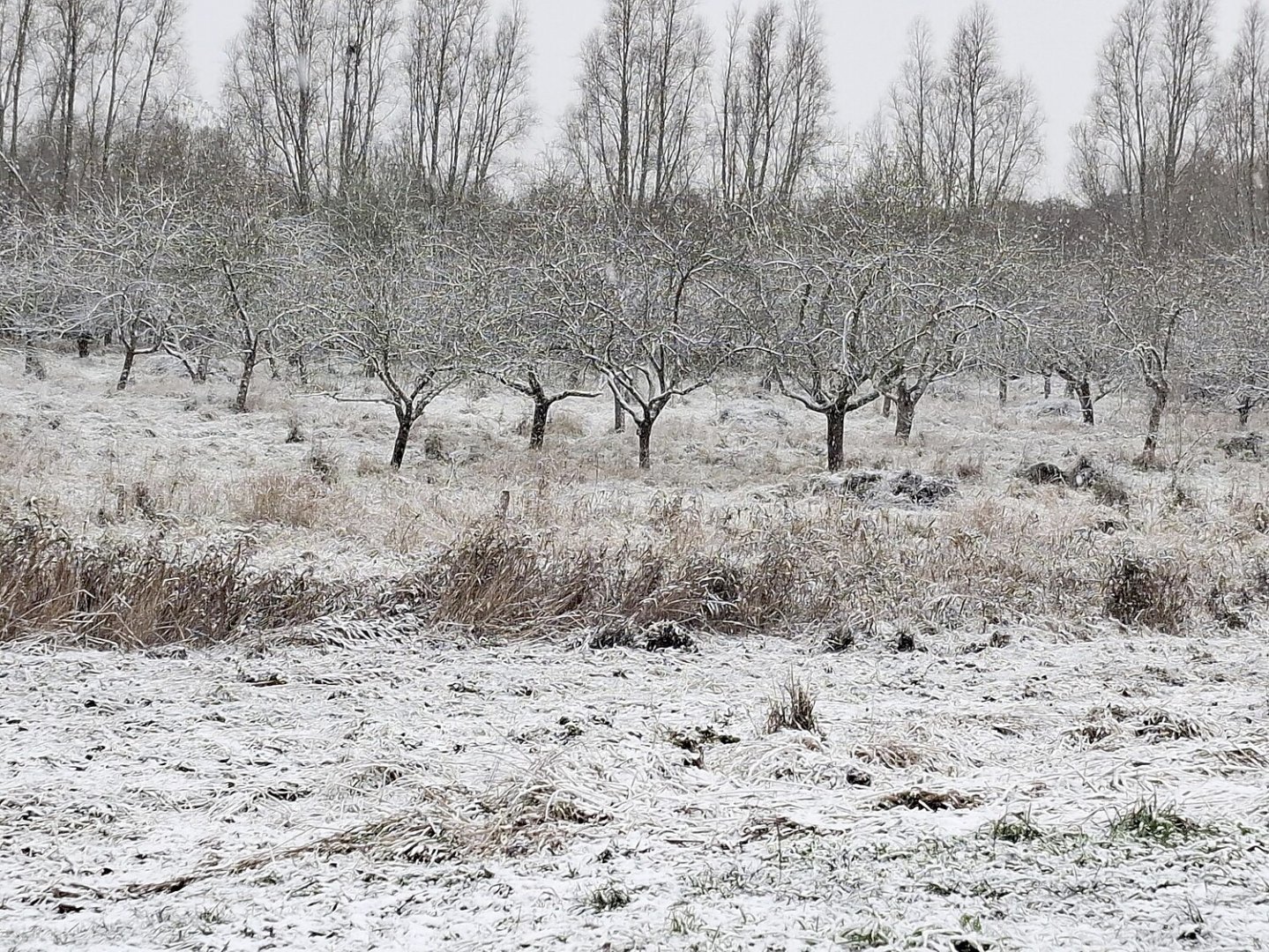 Schnee in Ostfriesland - Bild 22