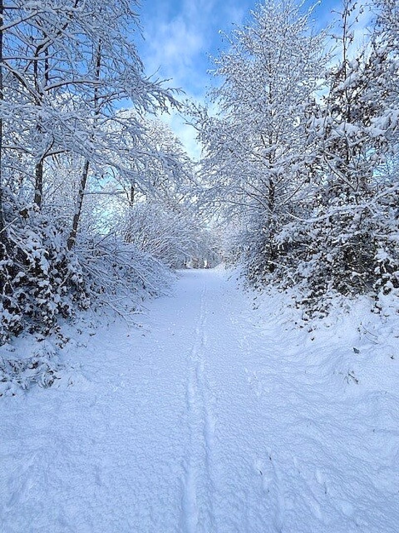 Schnee in Ostfriesland - Bild 41