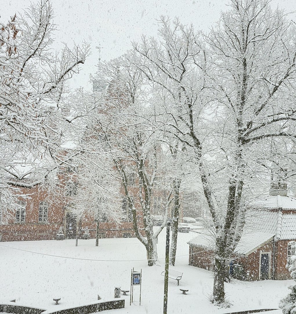 Schnee in Ostfriesland - Bild 48