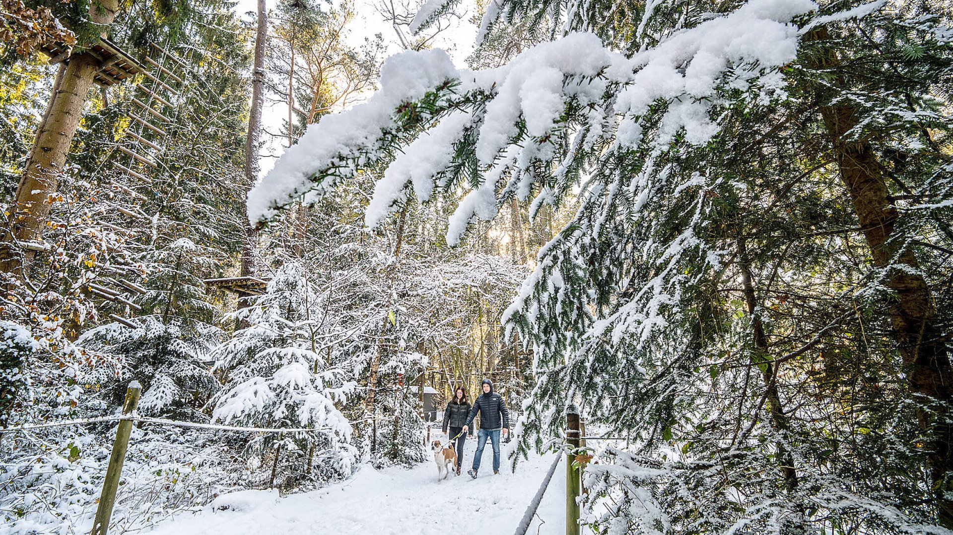 Schnee in Ostfriesland - Bild 69